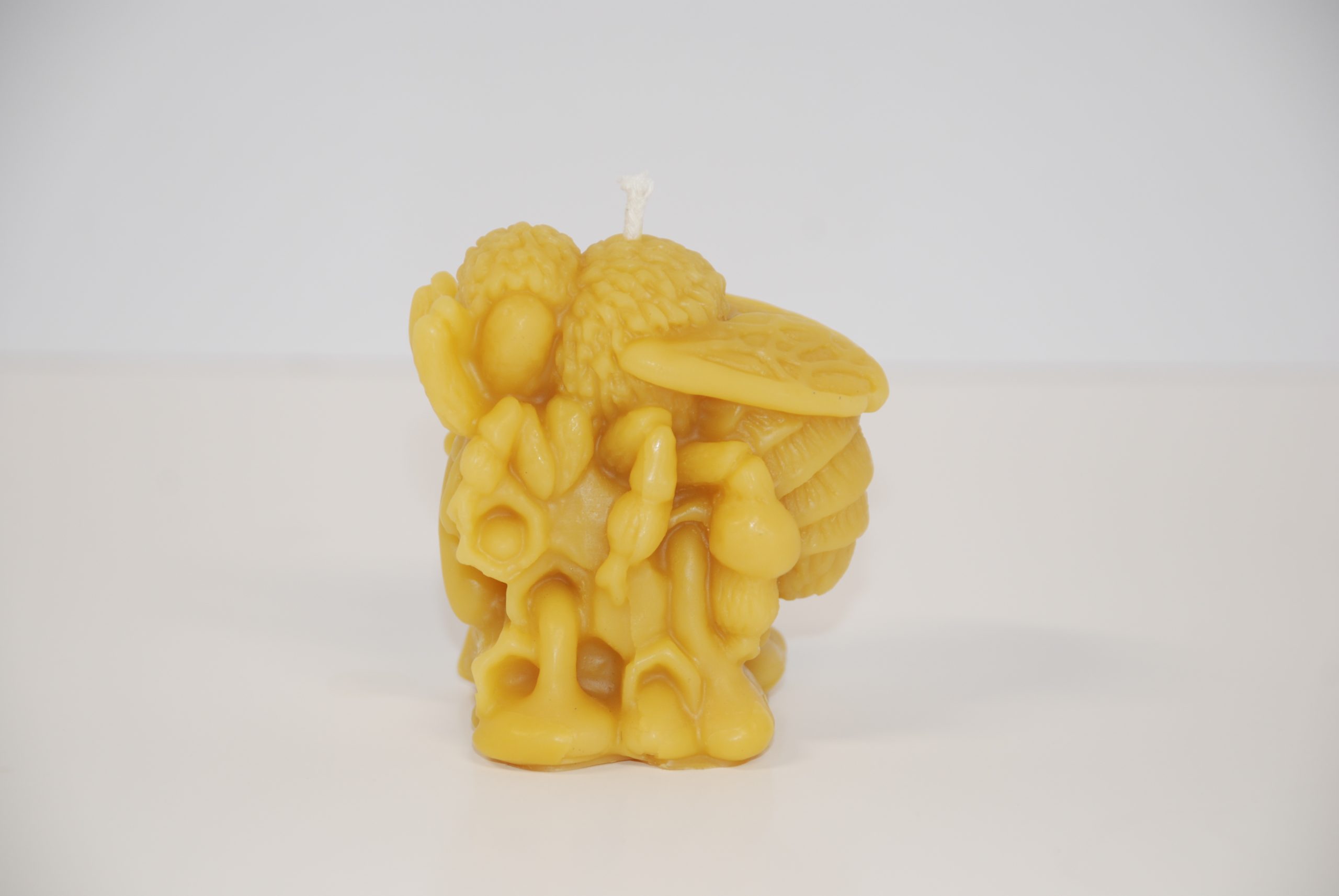 Honey Bee Feeding Candle