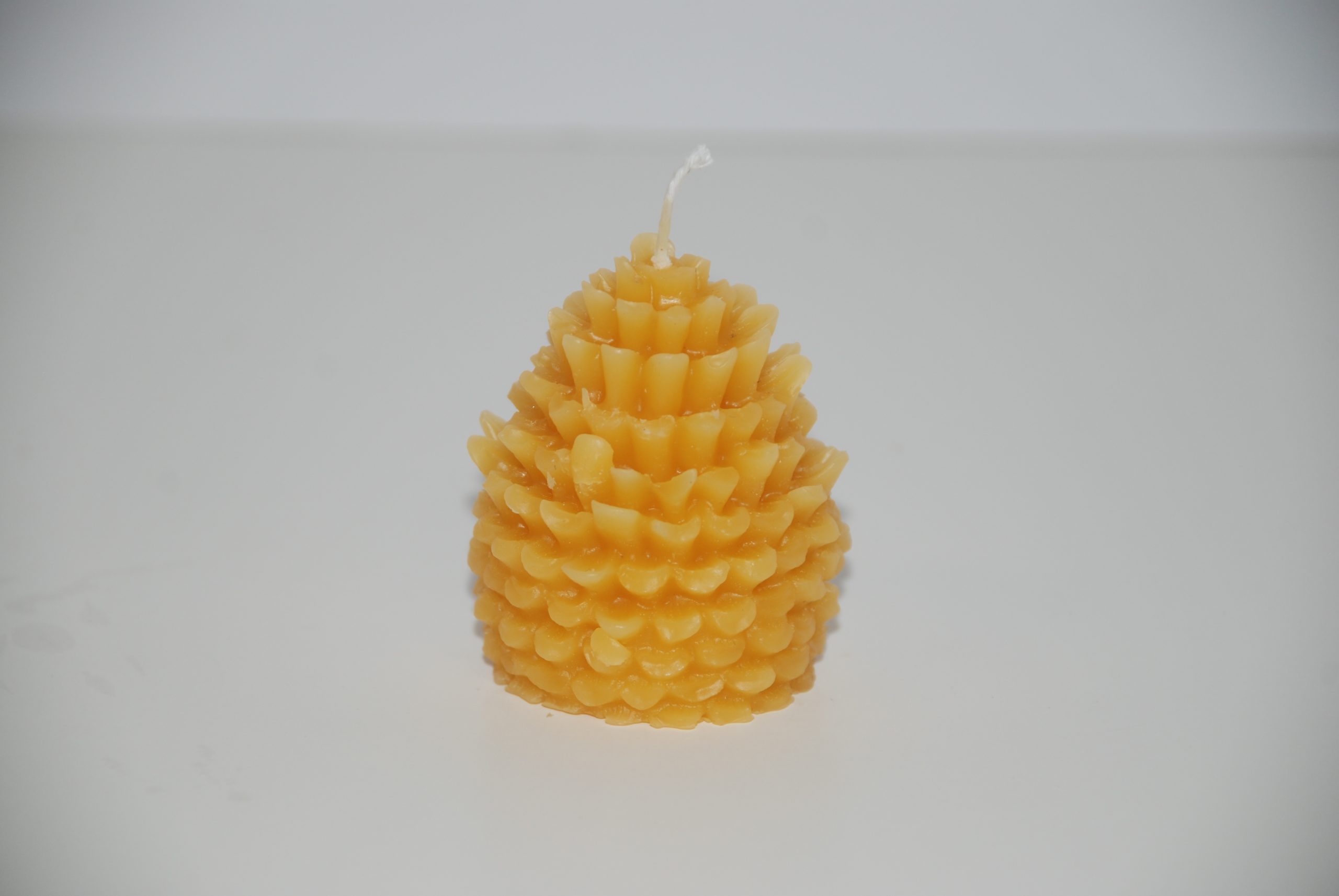 Pine Cone Candle